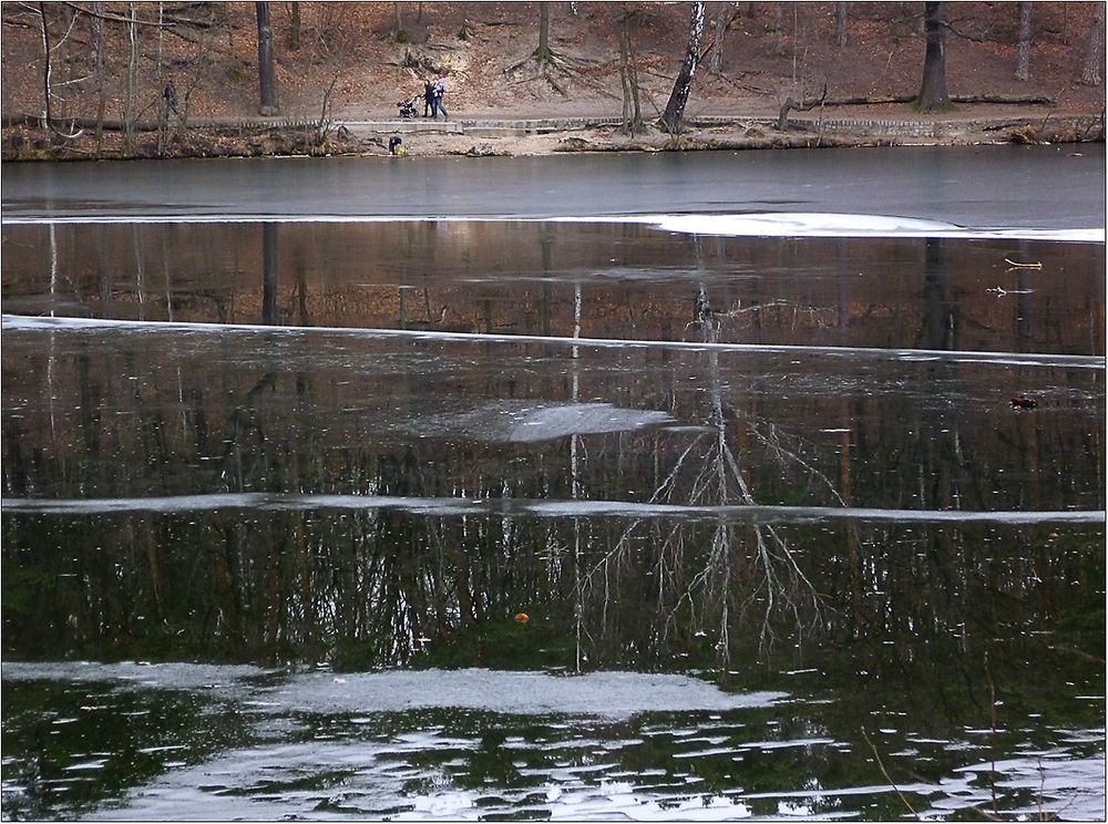 Spiegelungen am See