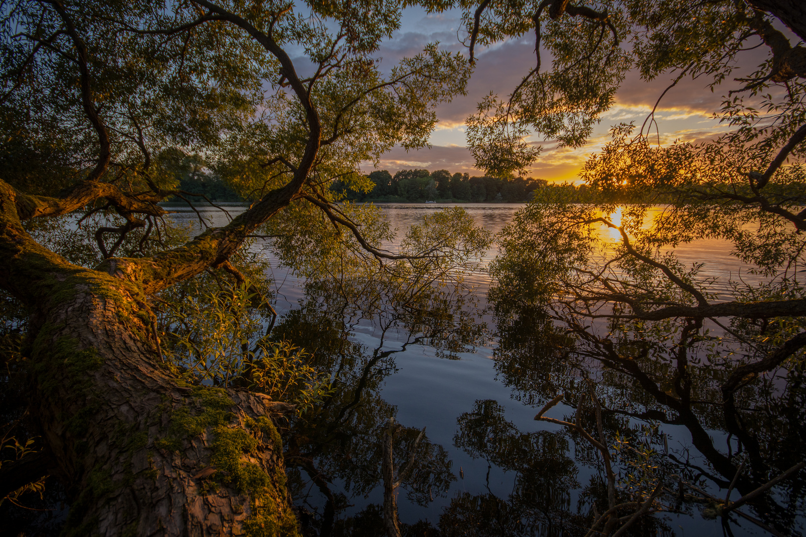 Spiegelungen am See