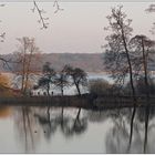 Spiegelungen am See