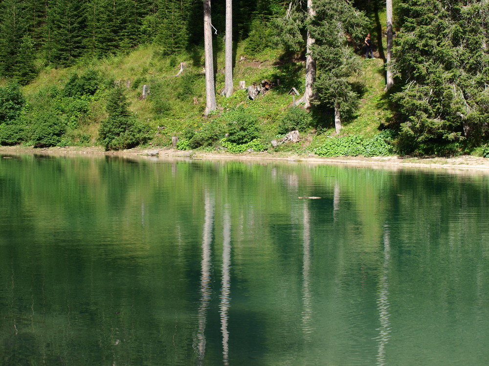 Spiegelungen am See