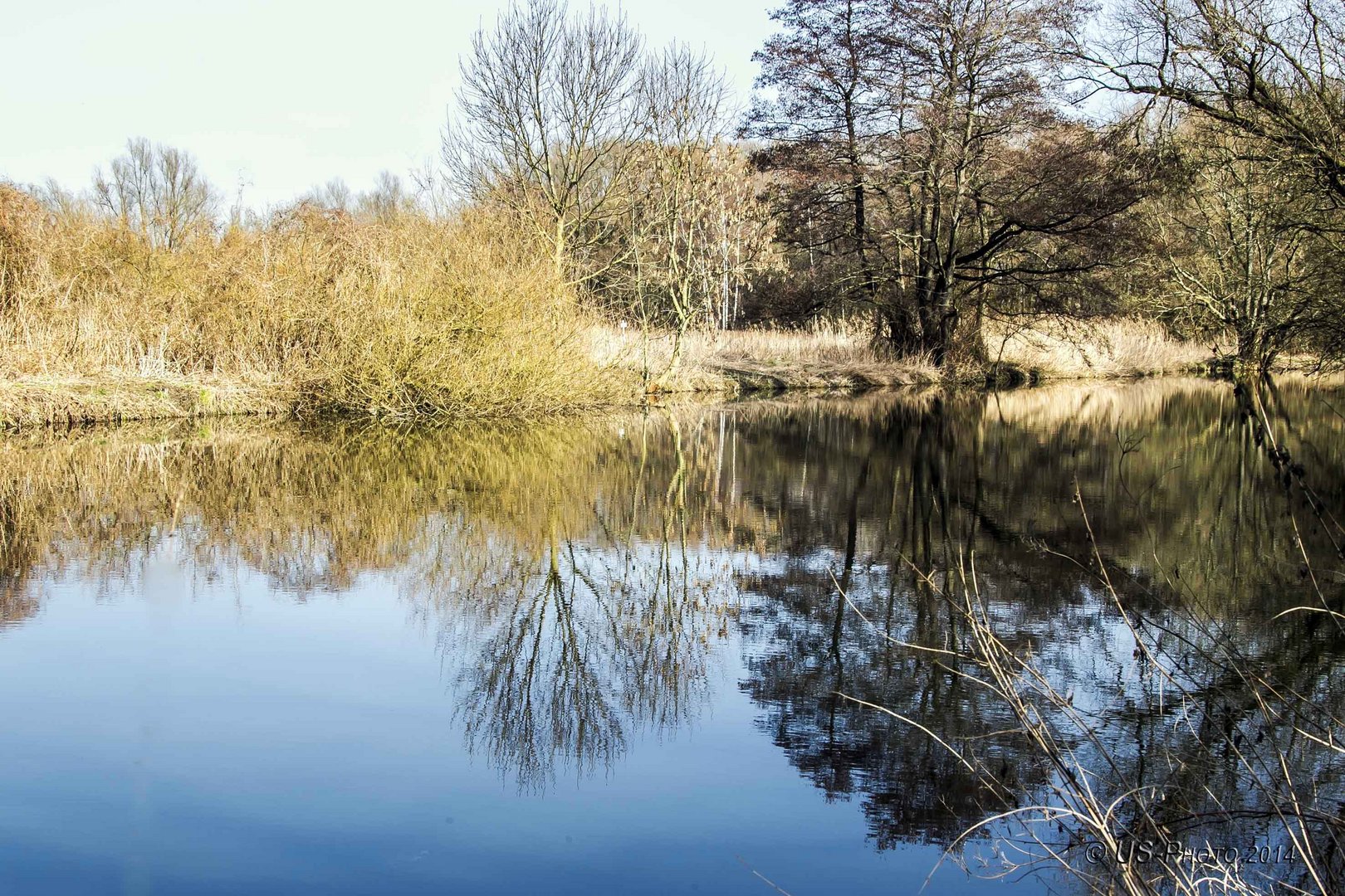 Spiegelungen am See