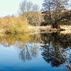 Spiegelungen am See