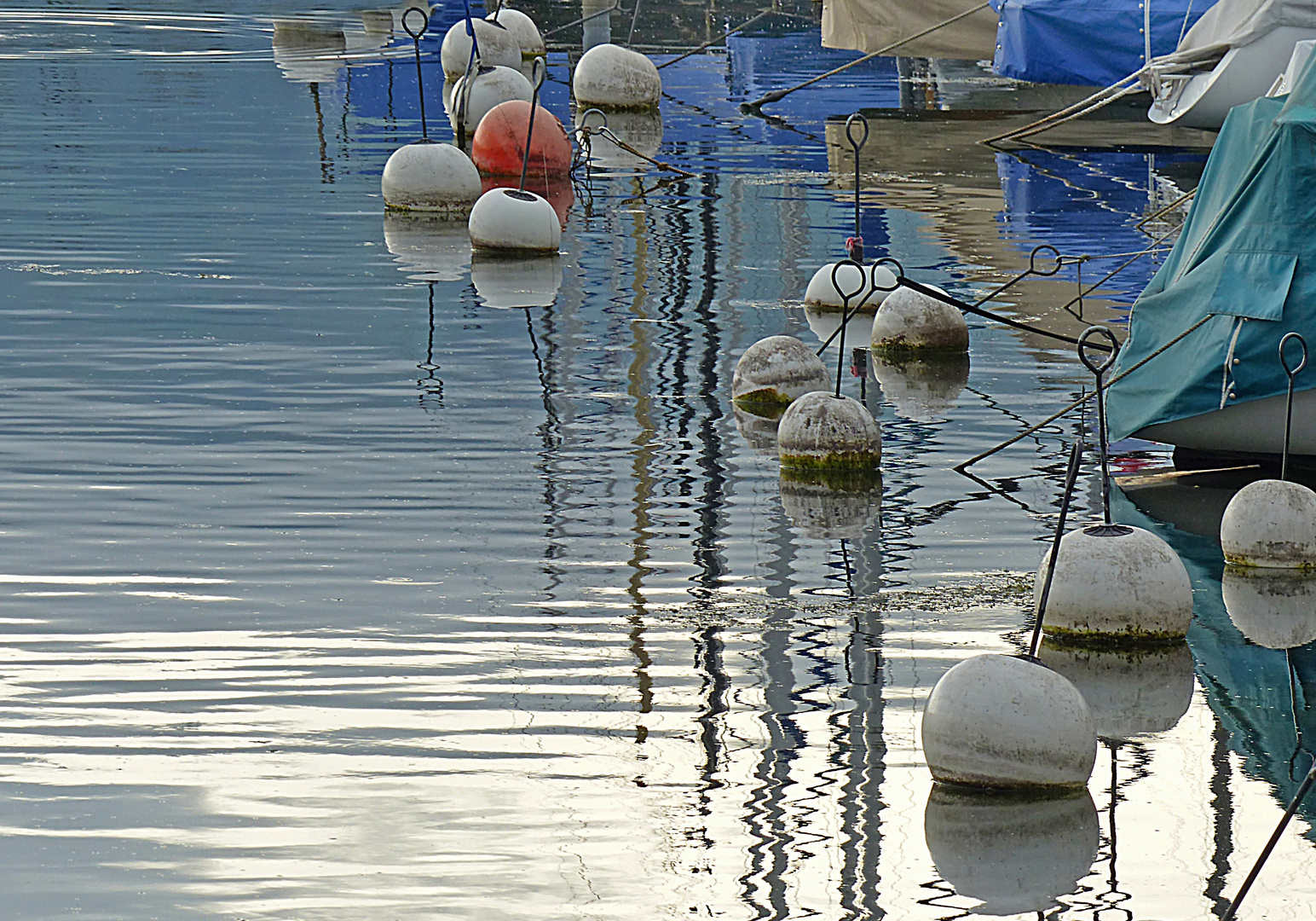 Spiegelungen am See