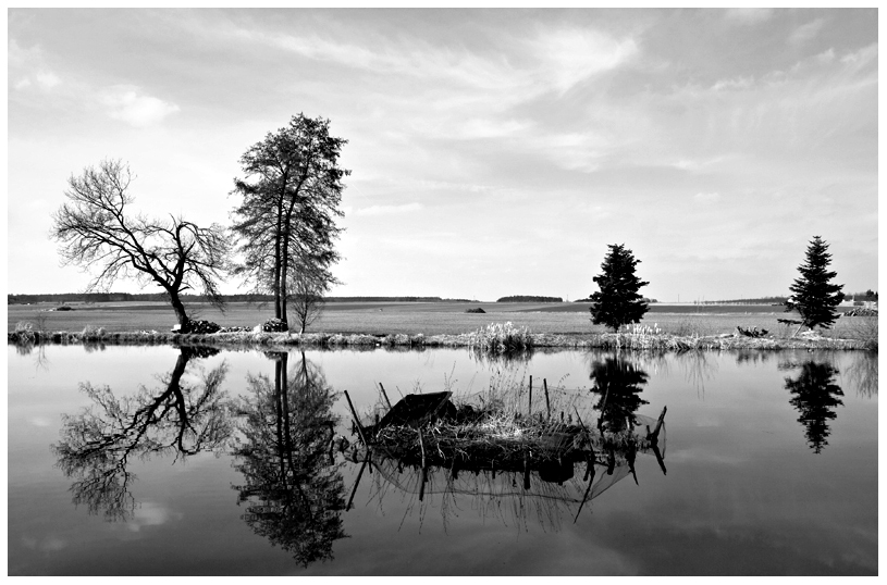 Spiegelungen am Weiher