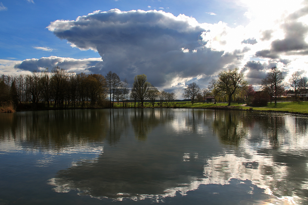 Spiegelungen am Weiher