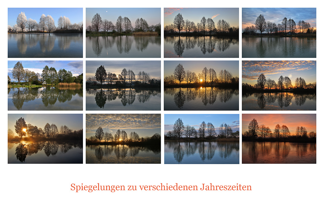 Spiegelungen am Weiher zu verschiedenen Jahreszeiten