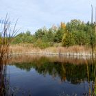 Spiegelungen an der alten Lehmgrube