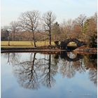 Spiegelungen an der Hohen Brücke