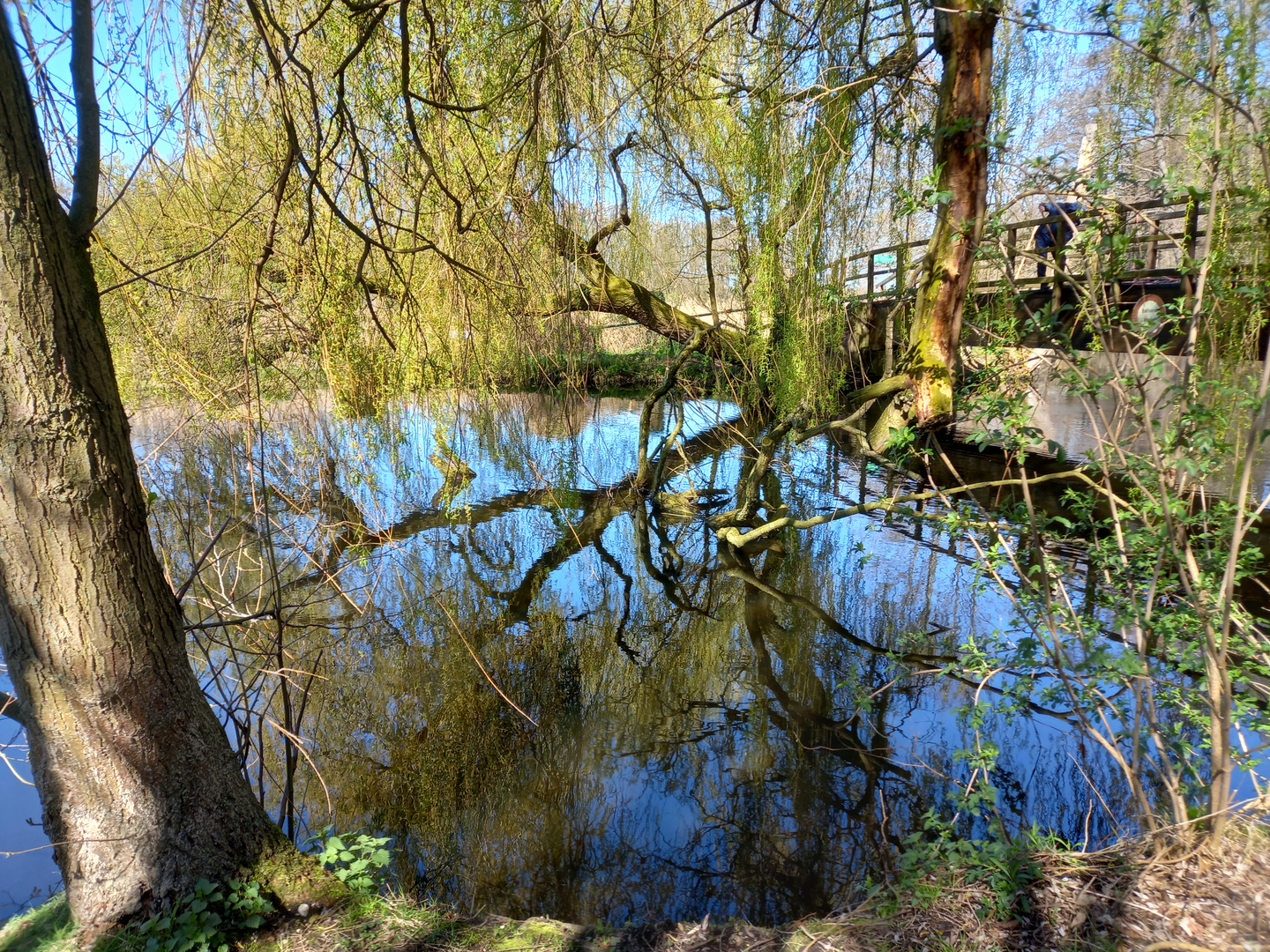 Spiegelungen an der Nette