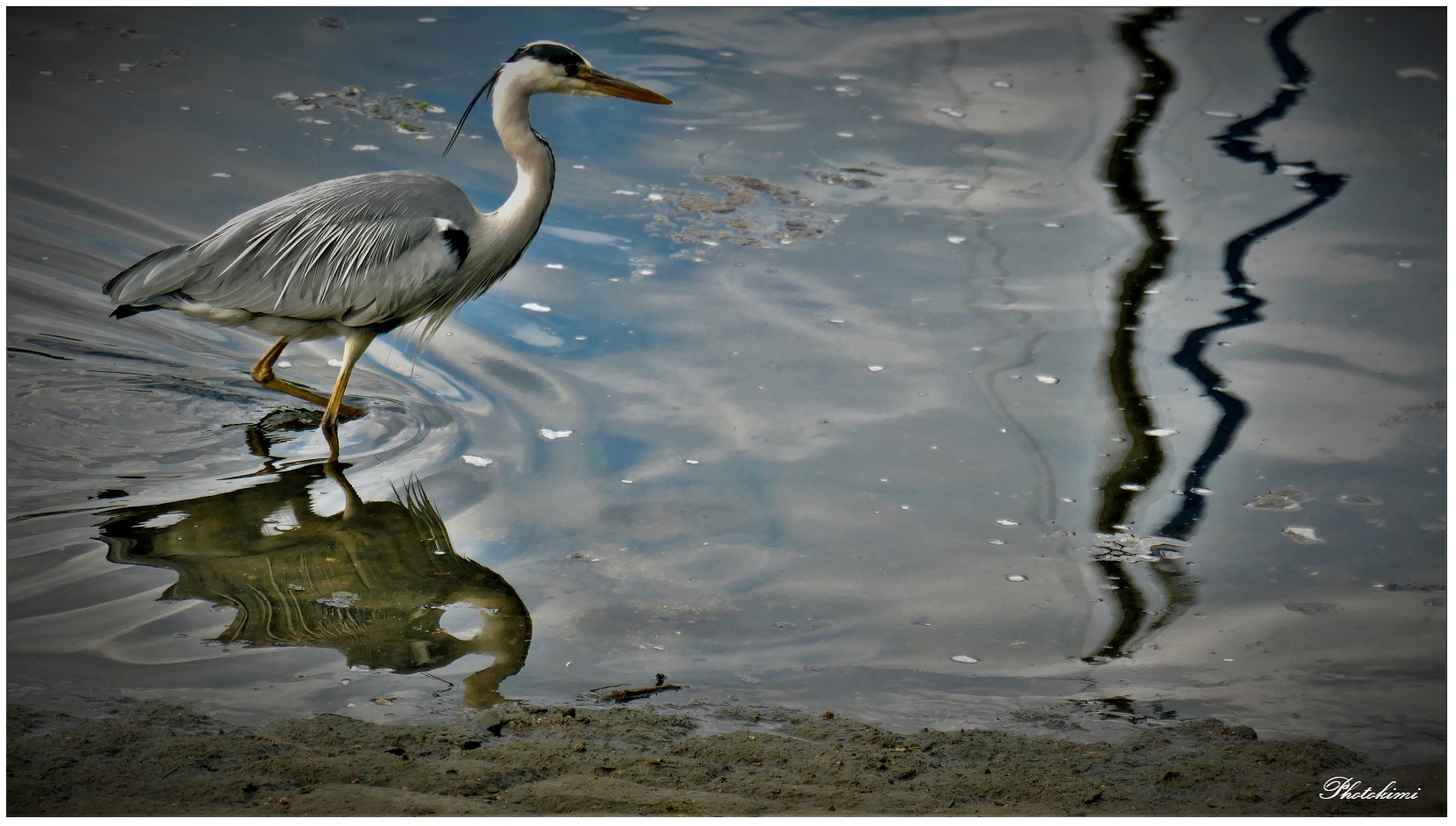 Spiegelungen auf dem Hafenwasser