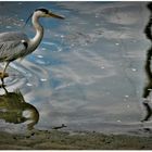 Spiegelungen auf dem Hafenwasser