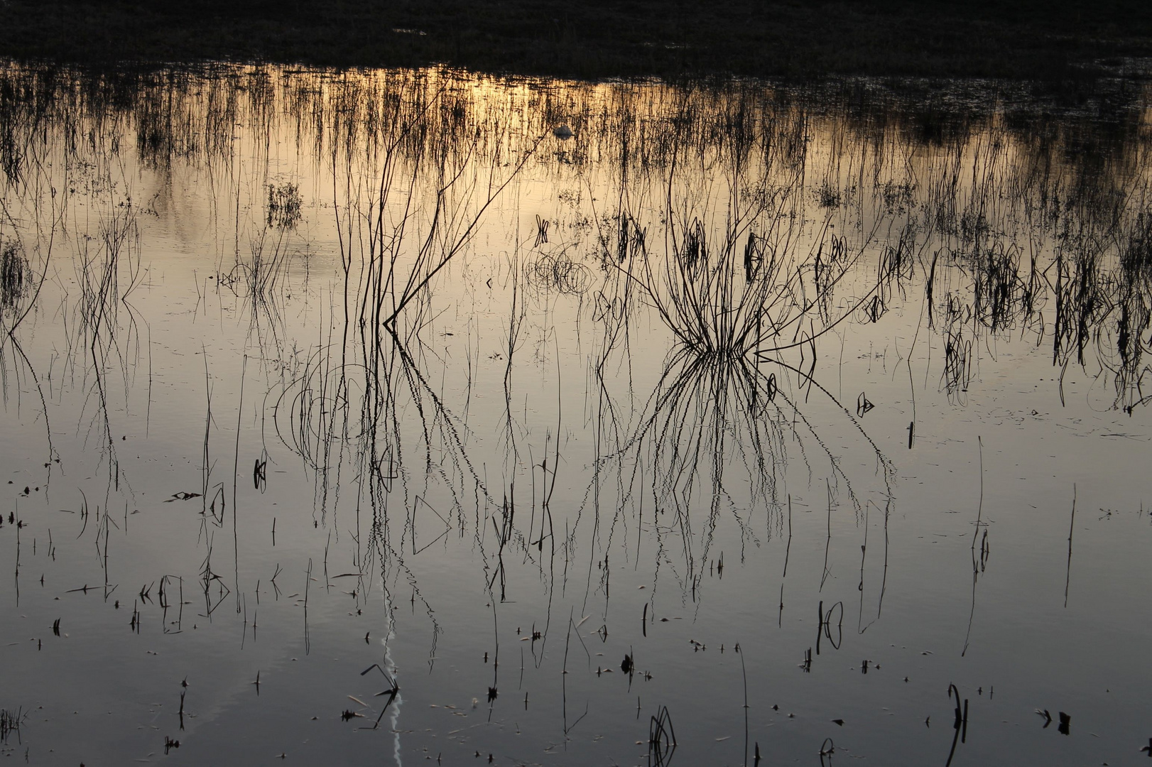 Spiegelungen auf dem Wasser 1