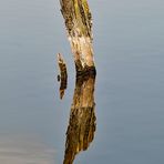 Spiegelungen auf dem Wasser