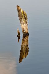 Spiegelungen auf dem Wasser