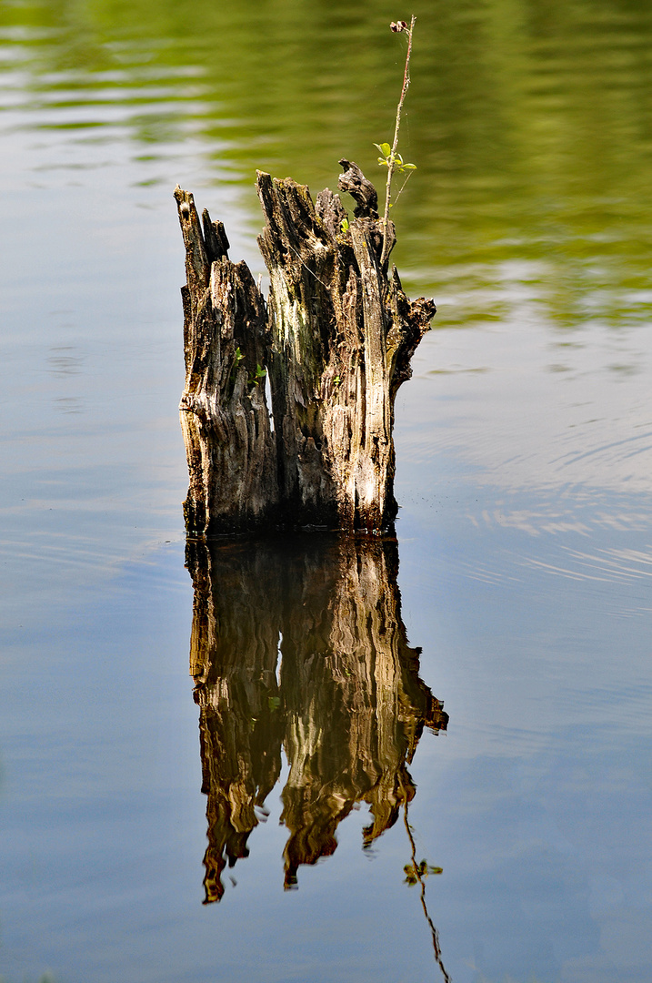 Spiegelungen auf dem Wasser