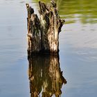 Spiegelungen auf dem Wasser