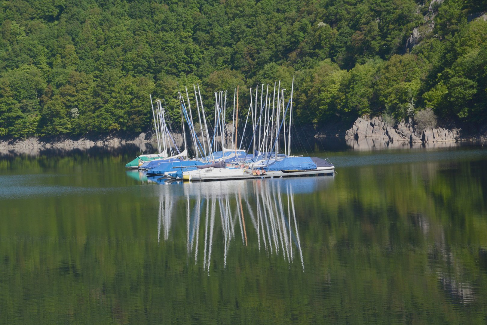 Spiegelungen auf der Schwammenauel-Talsperre in der Eifel