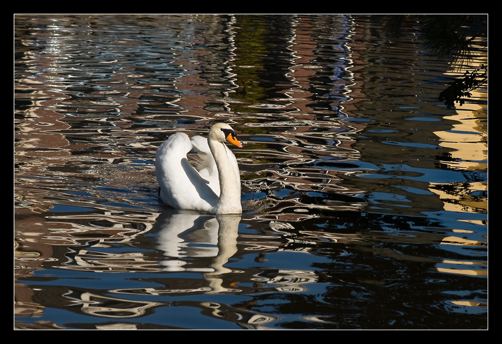 Spiegelungen