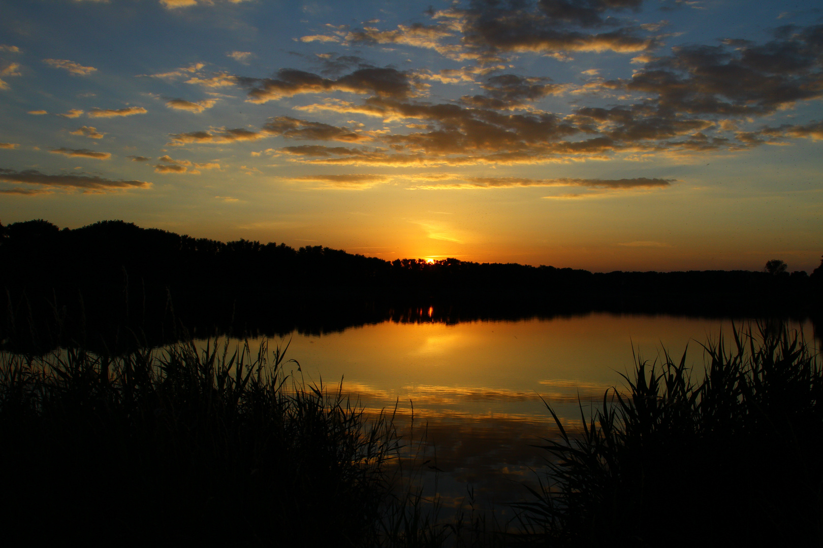 Spiegelungen