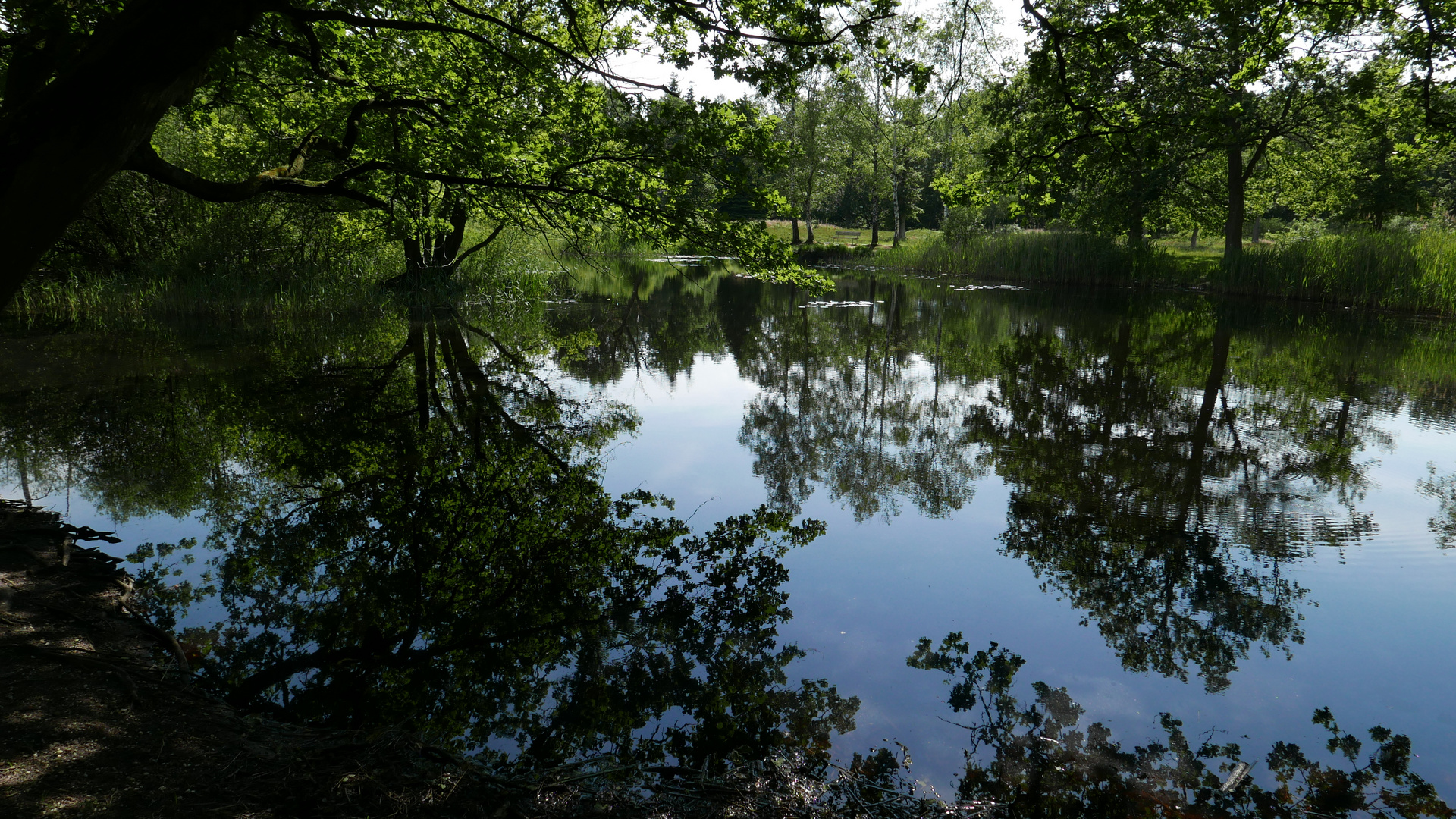 Spiegelungen