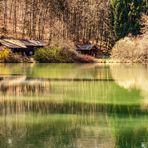 Spiegelungen Becherbacher Weiher