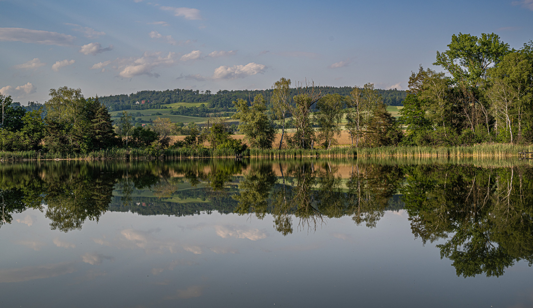 Spiegelungen beim Hasensee