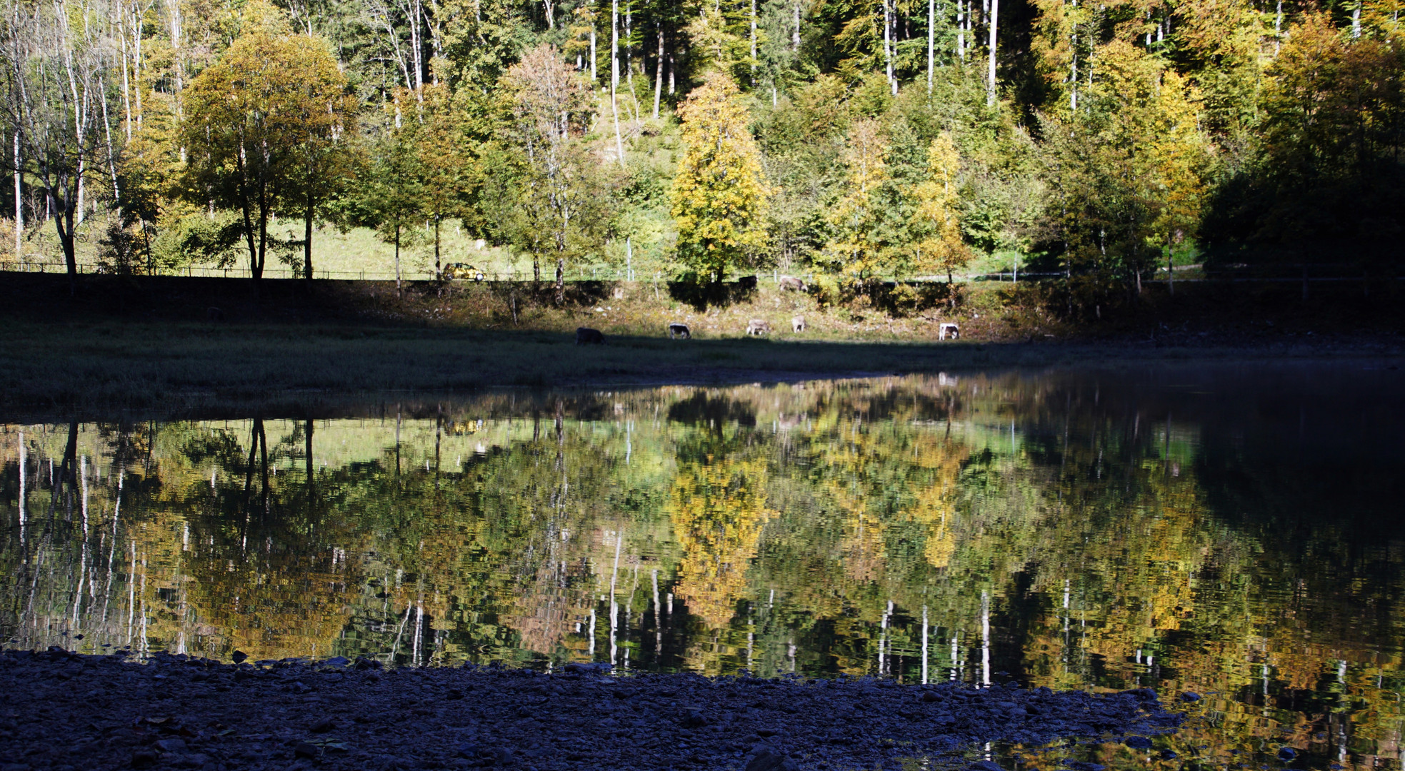 Spiegelungen