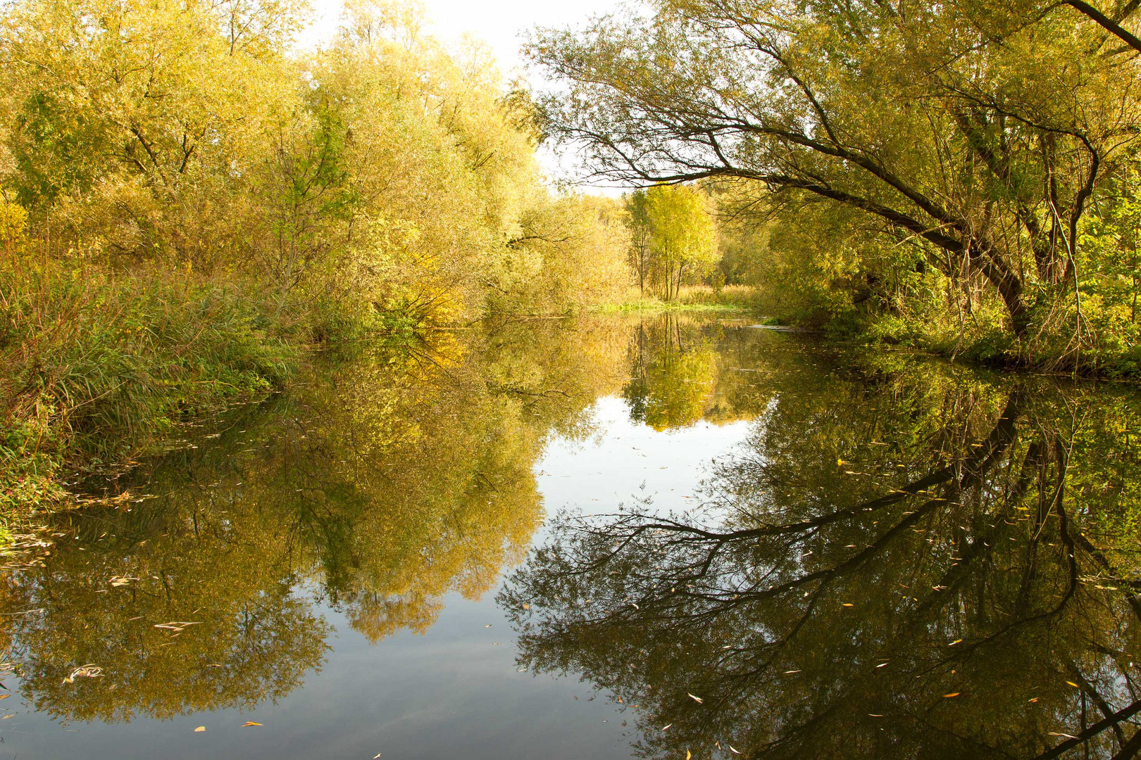 Spiegelungen