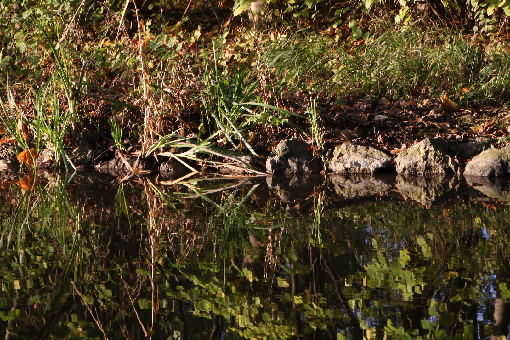 Spiegelungen