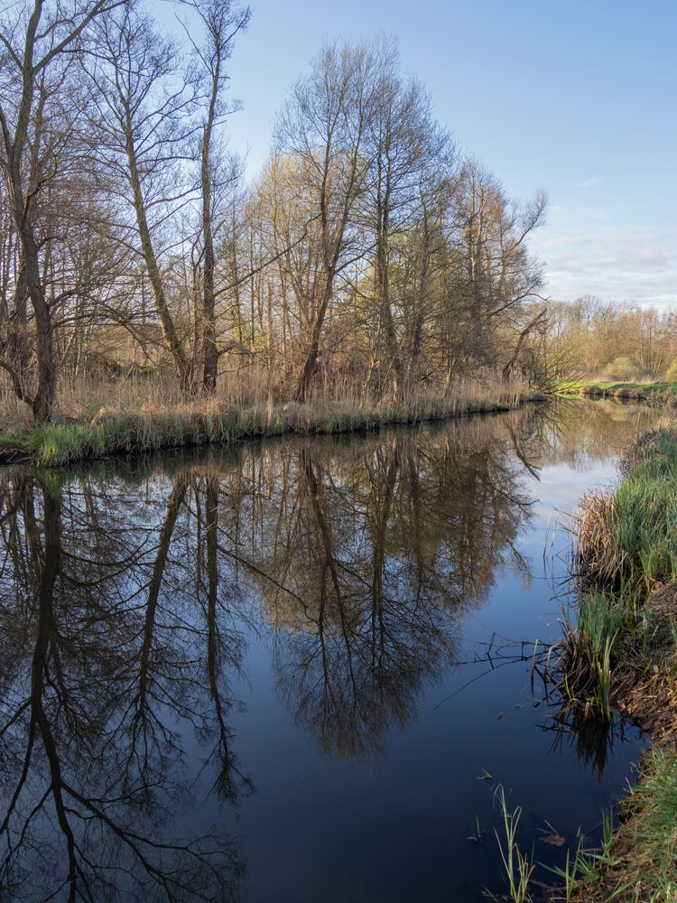 Spiegelungen