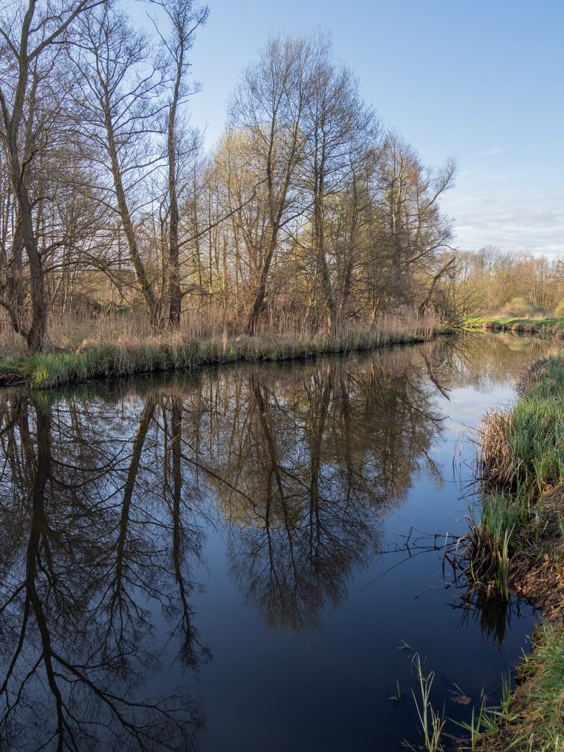 Spiegelungen