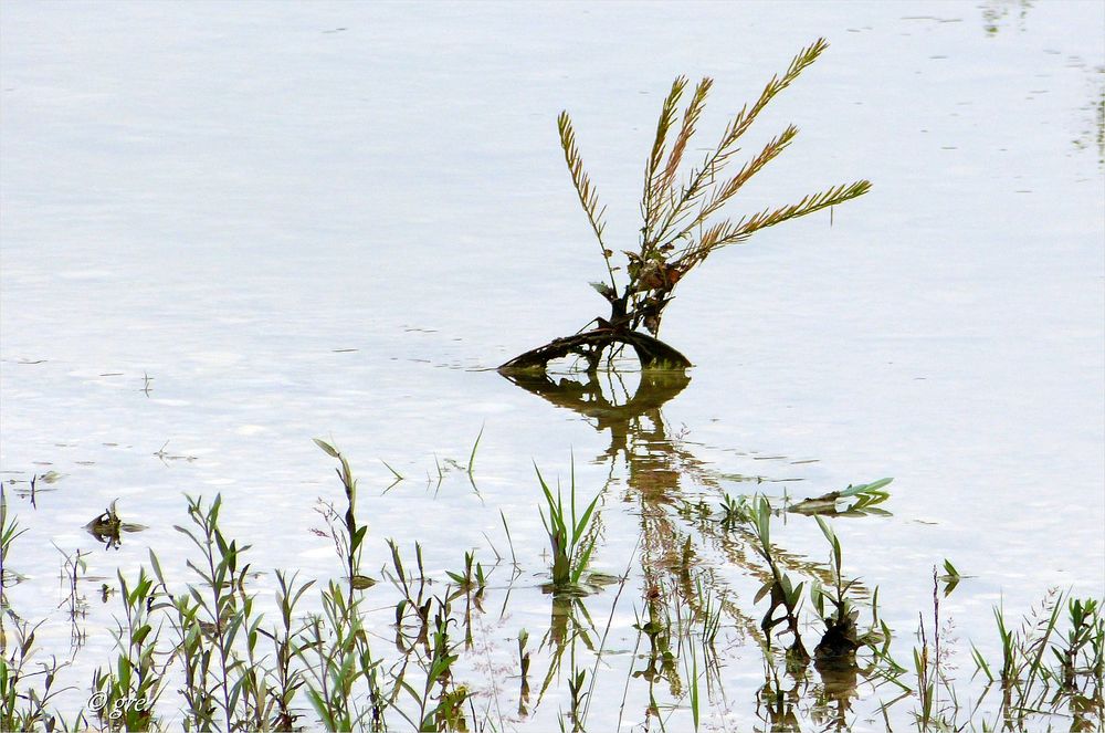 Spiegelungen