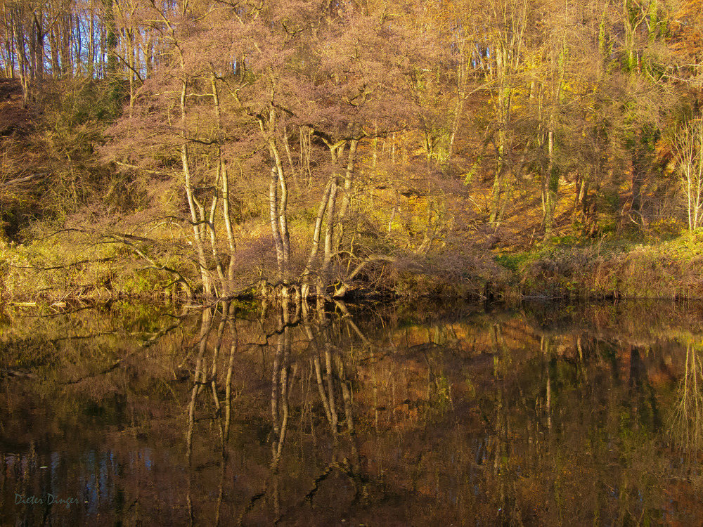 Spiegelungen