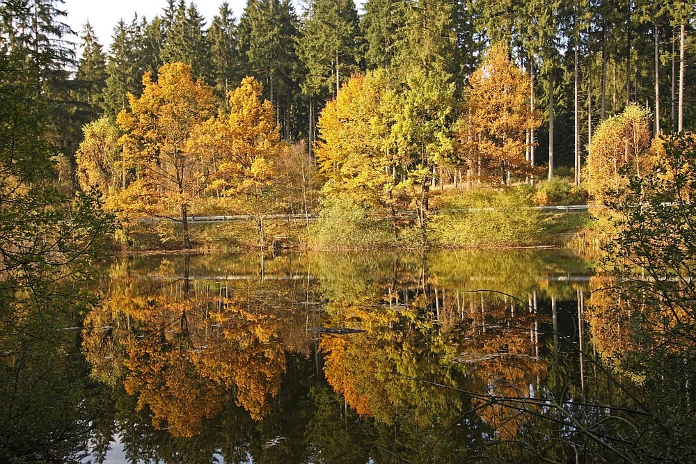 Spiegelungen der Herbstfarben