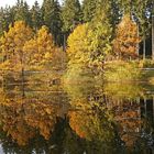 Spiegelungen der Herbstfarben