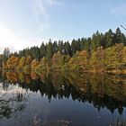 Spiegelungen des Herbstes im Wasser