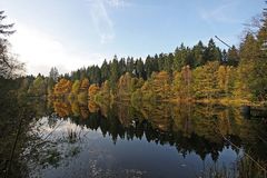 Spiegelungen des Herbstes im Wasser