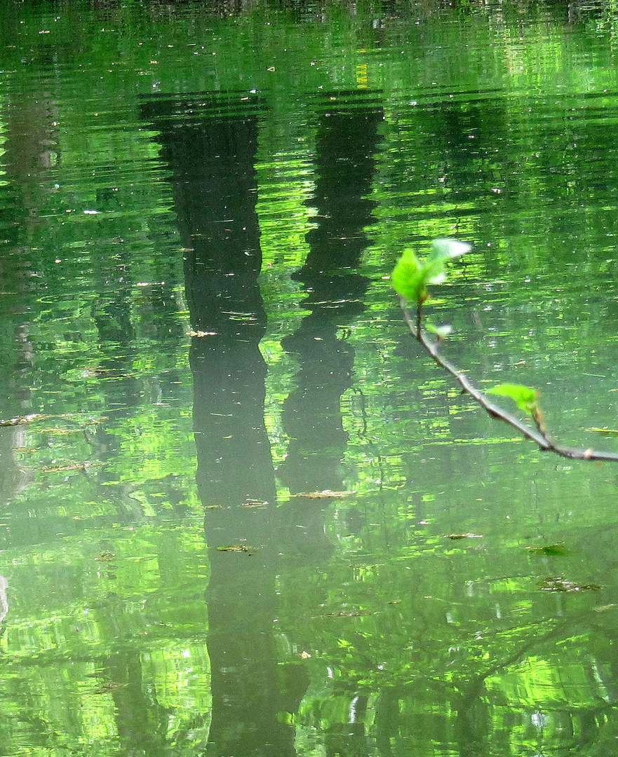 Spiegelungen