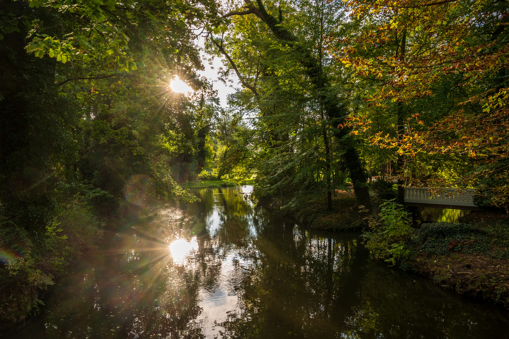 Spiegelungen