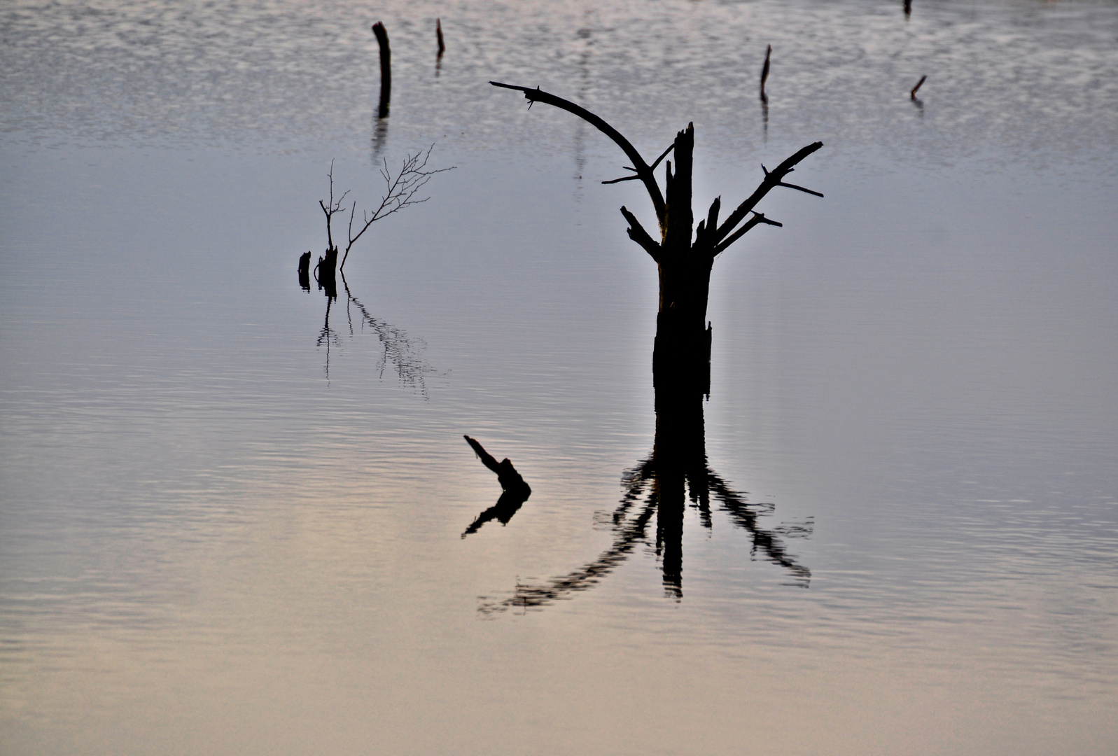 Spiegelungen