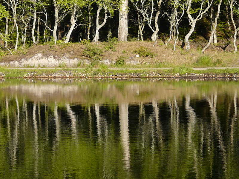 Spiegelungen