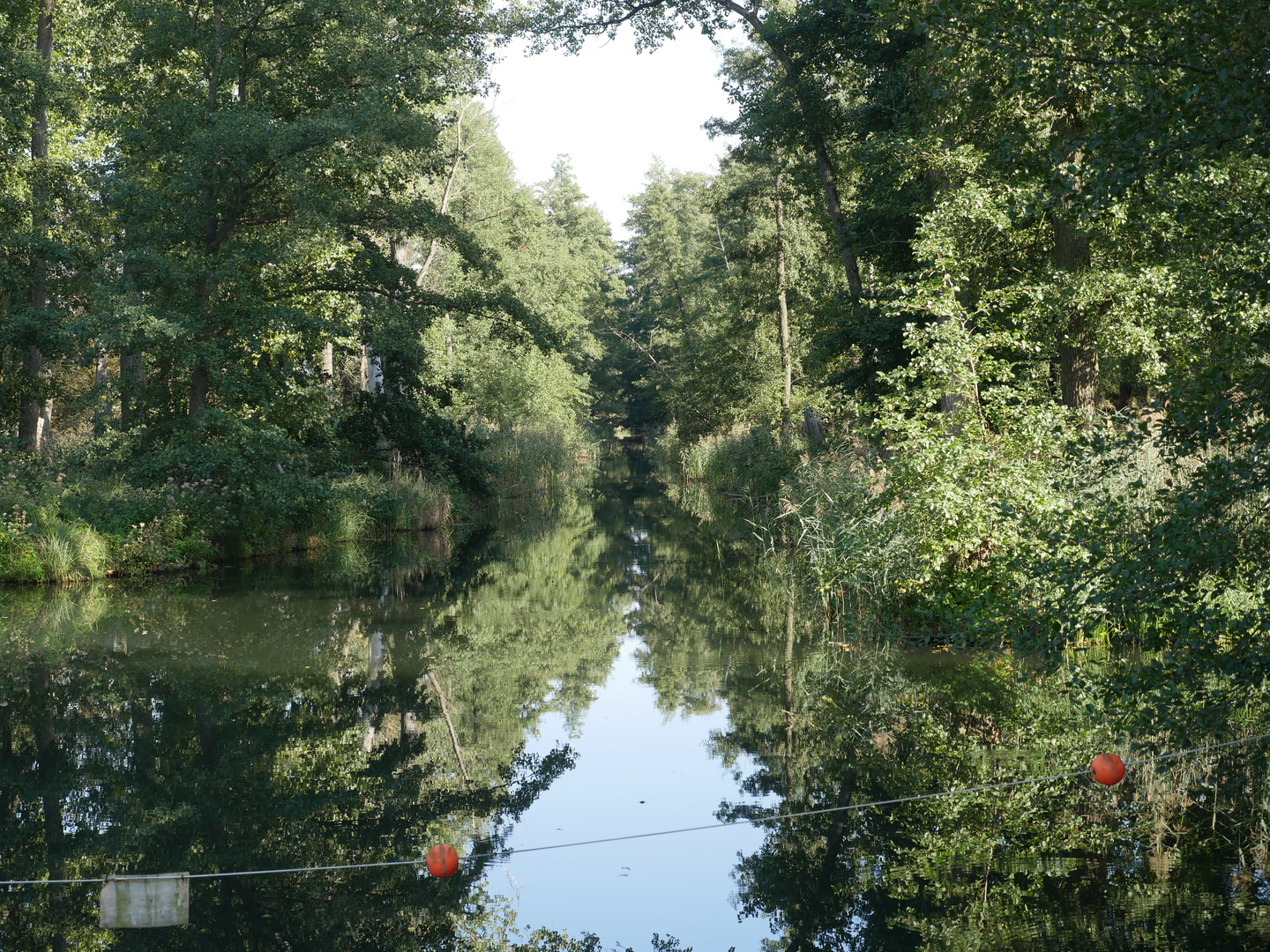 Spiegelungen