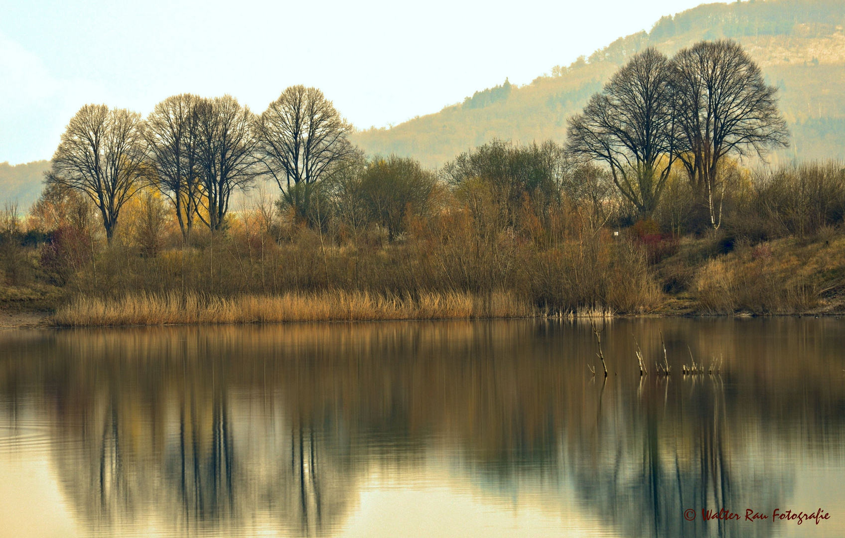 Spiegelungen