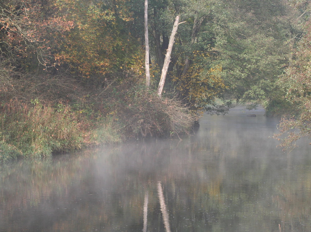 Spiegelungen - Fluss Pfreimd