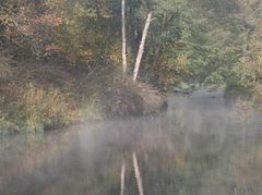 Spiegelungen - Fluss Pfreimd