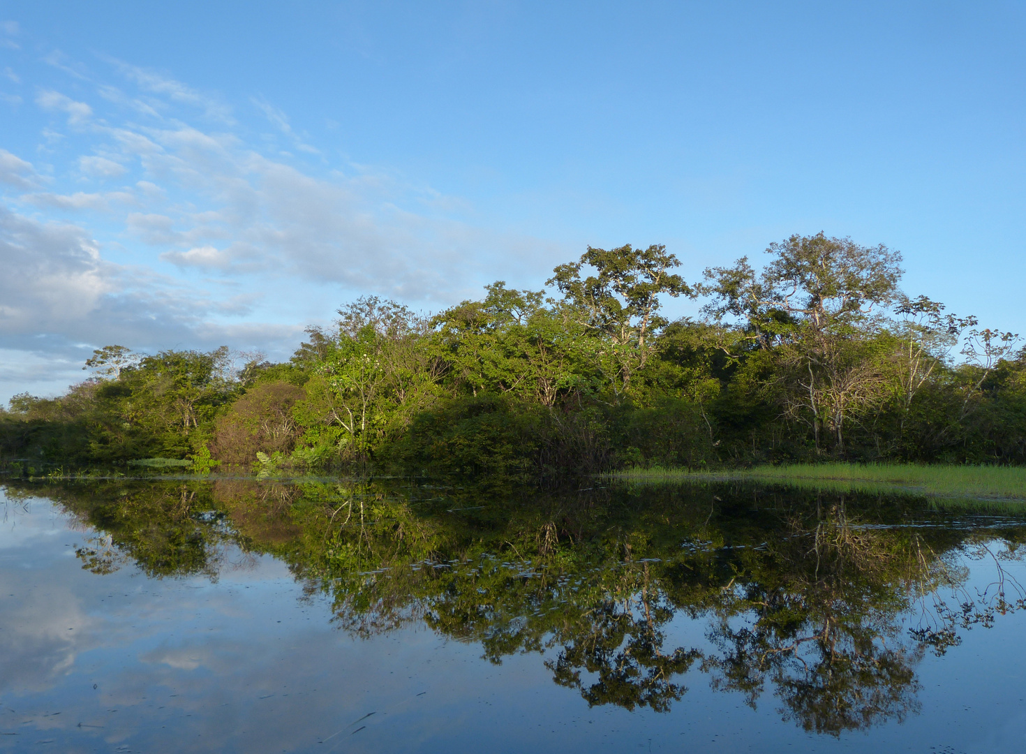 Spiegelungen frühmorgens auf dem Rio Negro