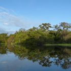 Spiegelungen frühmorgens auf dem Rio Negro