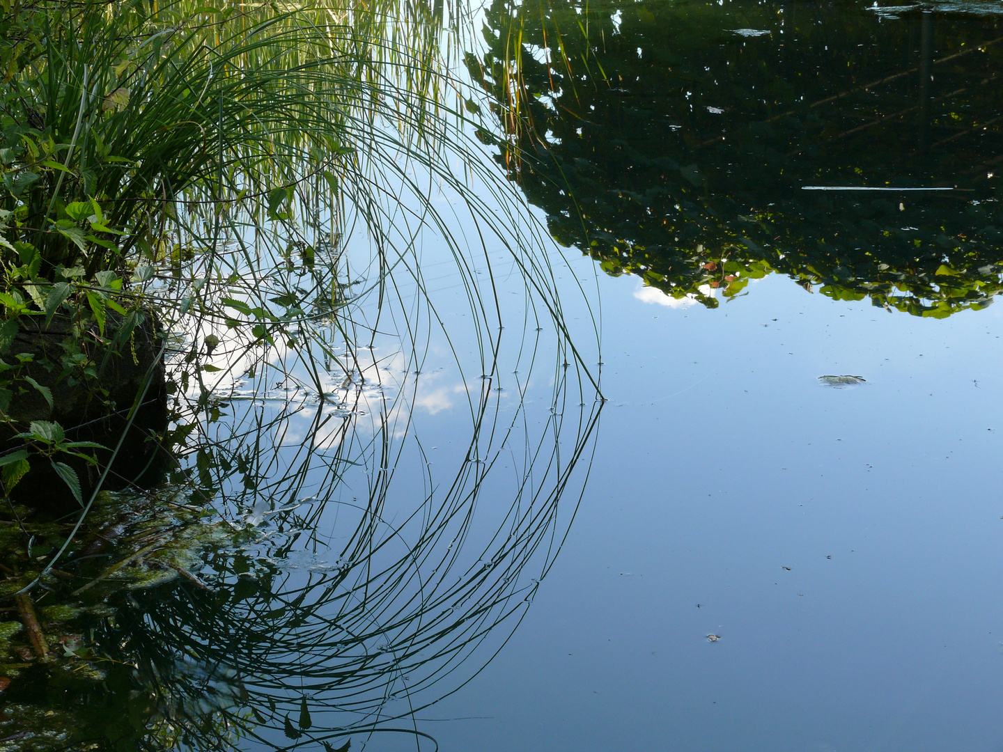 Spiegelungen Grün99 Weil am Rhein