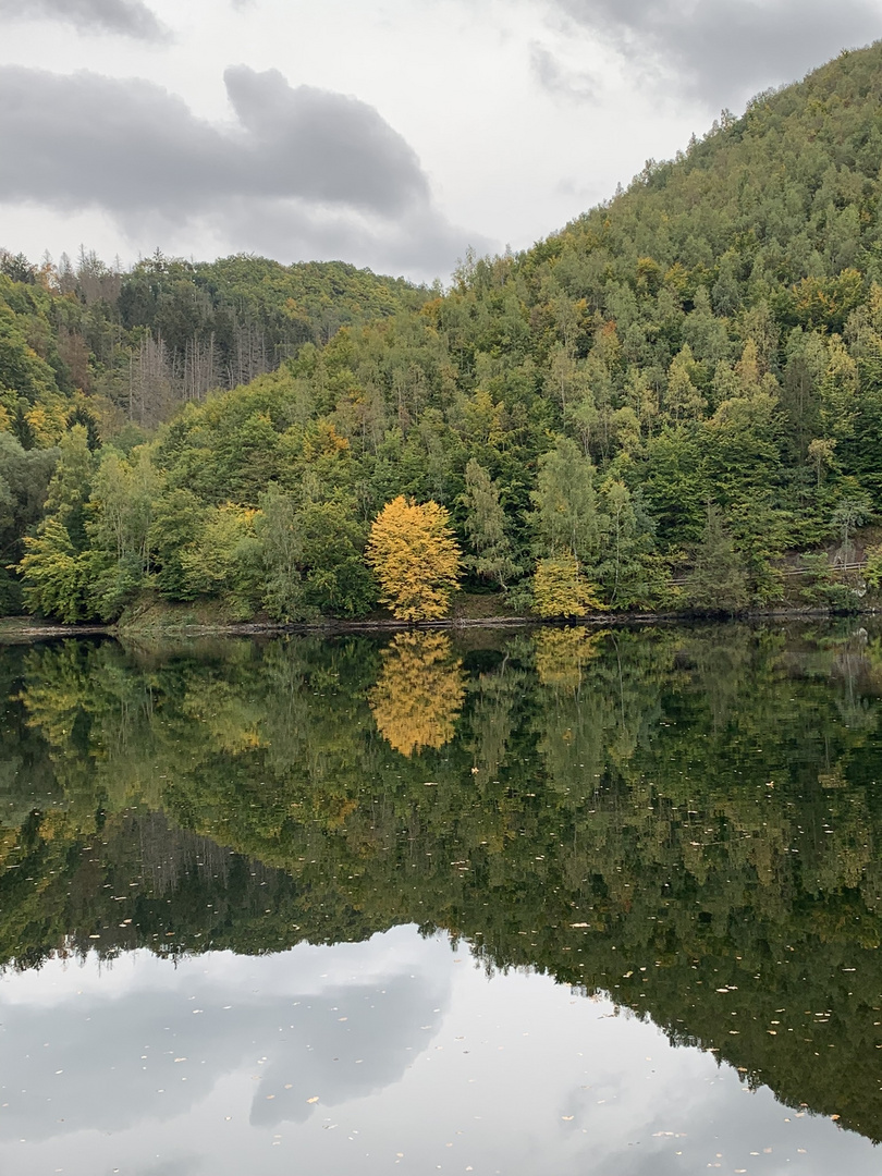 Spiegelungen II