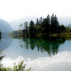 Spiegelungen im Almsee